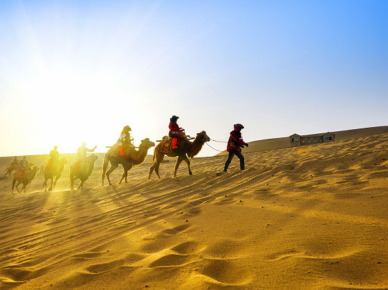 Mongolie - Traversée du désert Gobi à chameau
