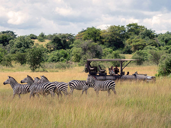 Wilderness Magashi - Safari