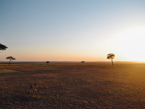 Survol de la Tanzanie