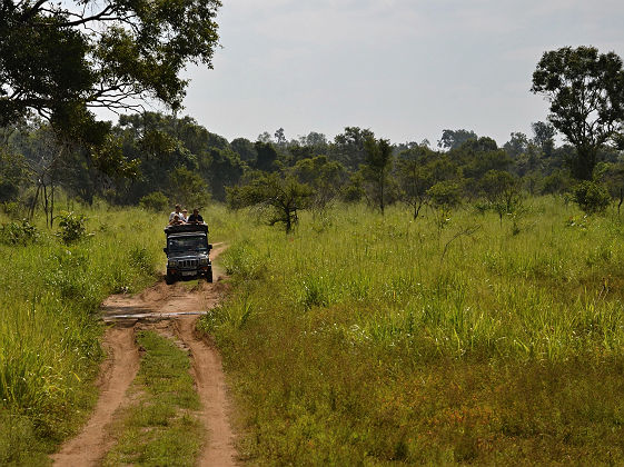 Safari au parc national de Gal Oya, Sri lanka