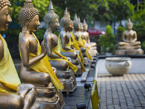 Sri Lanka - Rangée de statues de bouddha au temple Seema Malaka, Colombo