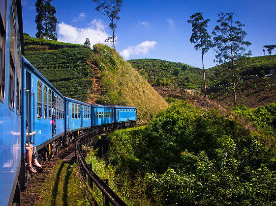 Sri Lanka - Train de Nuwara Eliya à Kandy traverse des champs de plantations de thè