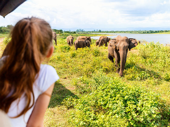 Enfant en safari au Sri Lanka