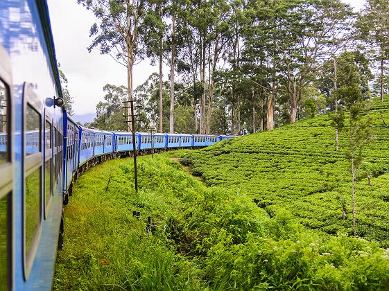 Train au Sri lanka