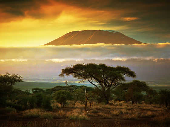 Le Mont Kilimanjaro vu depuis le Parc National d'Amboseli au Kenya