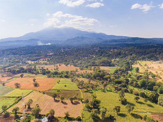 Tanzanie - Vue sur la ville d'Arusha