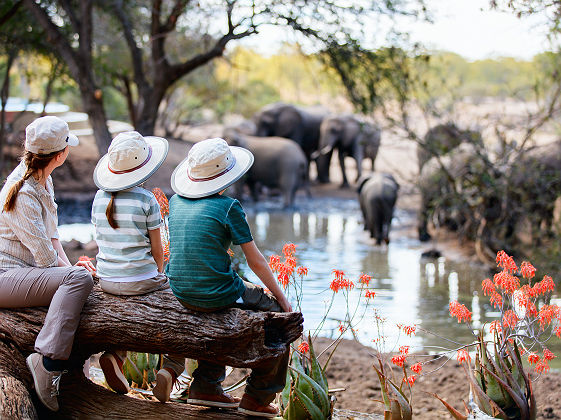 Famille en safari