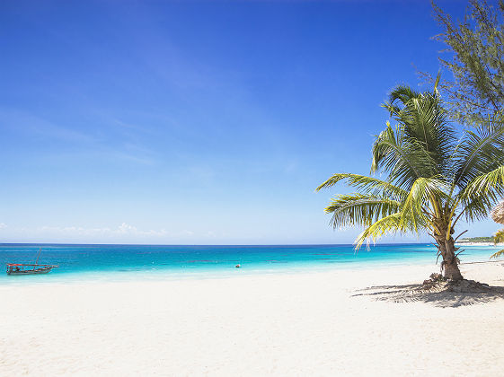 Plage tropicale - Tanzanie
