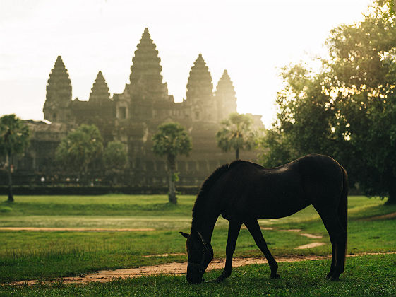 Zannier Hotels Phum Baitang - alex teuscher