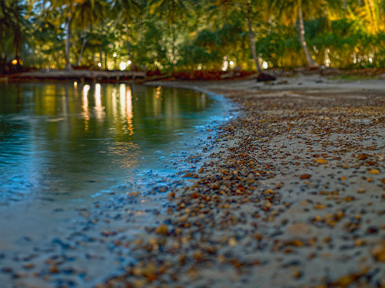 Song Saa Private Island - bioluminescence