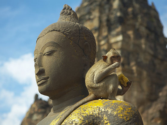 Singe sur une statue à Lopburi - Thaïlande