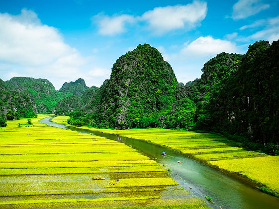 Vietnam - Rizières séparées par le fleuve qui traverse le paysage à Ninh Binh