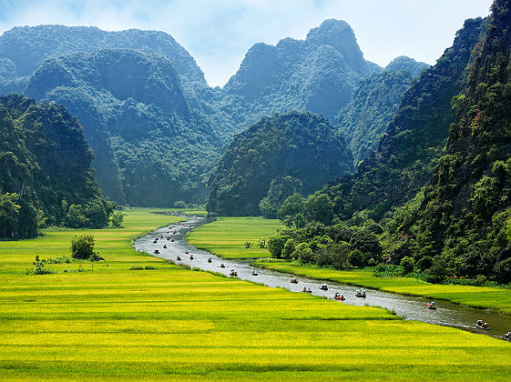 Vietnam - Vue sur des rizières et la rivière Ninh Binh