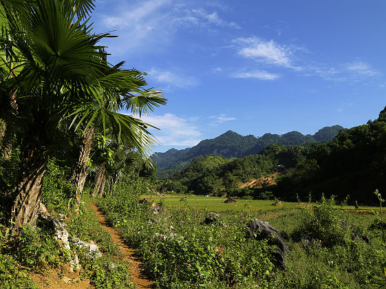 Suoi Mu Lodge