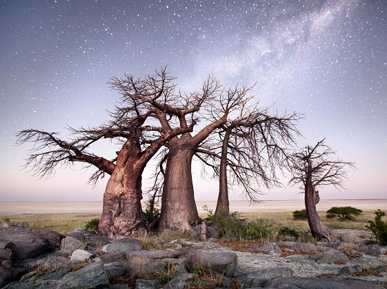 Ile de Kubu, Botswana