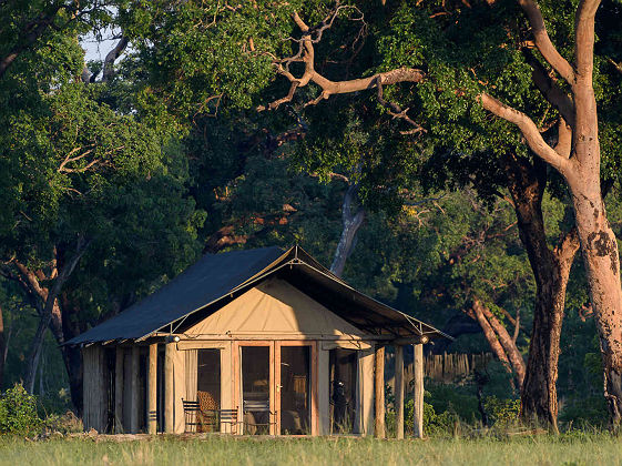 Davison's camp - Parc National Hwange, Zimbabwe