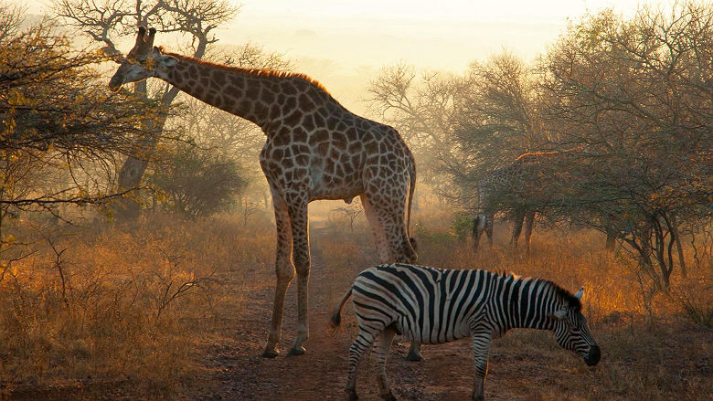 Letamo Lodge - Qwabi Private Game Reserve