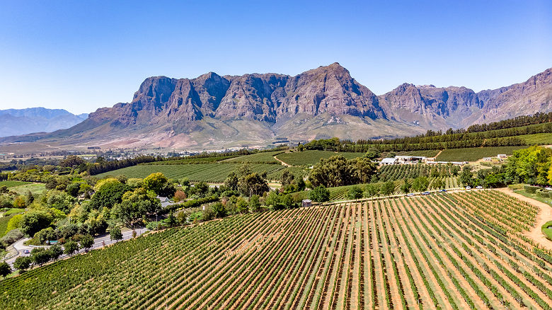 Vignoble de Stellenbosch - Afrique du Sud