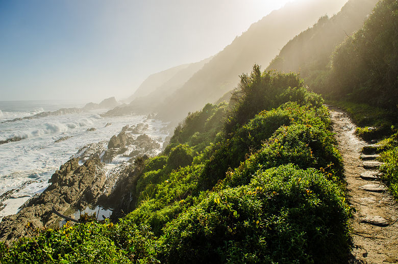 Afrique du Sud - Zone Tsitsikamma au parc national Garden Route