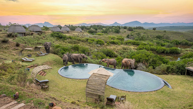 Kwena Lodge - Gondwana Game Reserve 