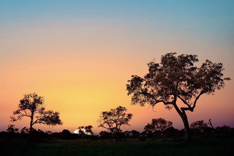 Coucher de soleil au parc Kruger