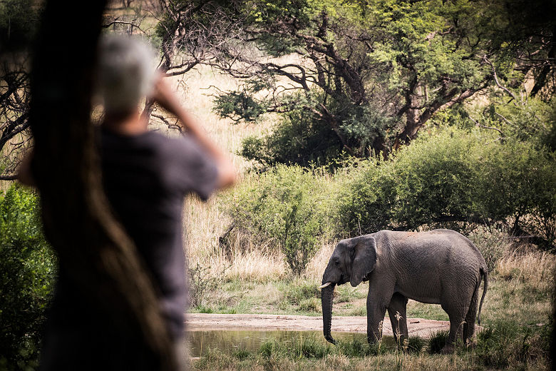 Marataba Safari Lodge, Elephant