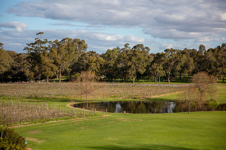 Swan Valley - Sandalford - Tourism Australia