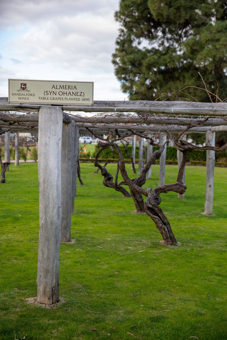 Swan Valley - Sandalford - Tourism Australia