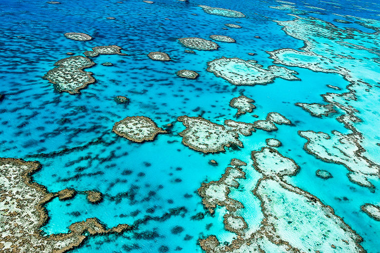 Grande barrière de Corail, Queensland - Australie