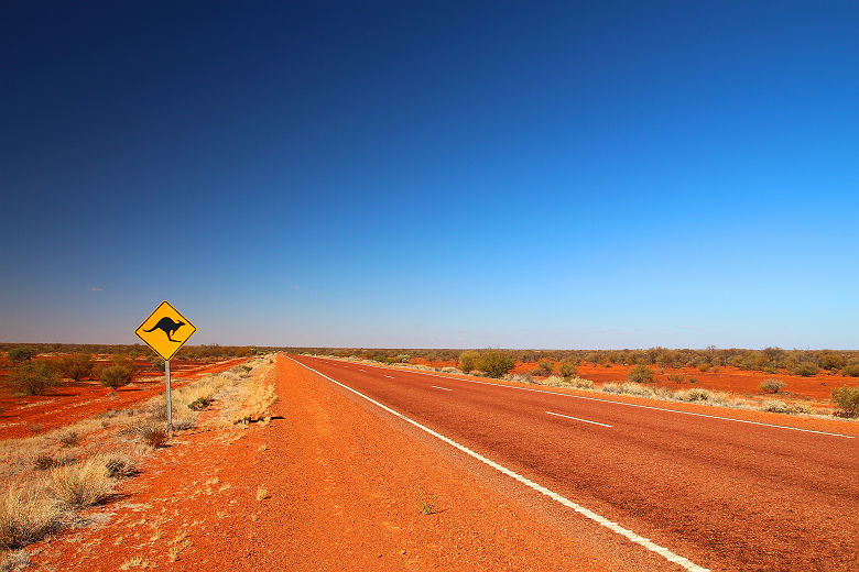 Attention aux kangourous sur la route en Australie
