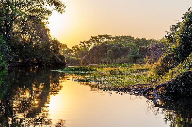 Marais du Pantanal - Brésil