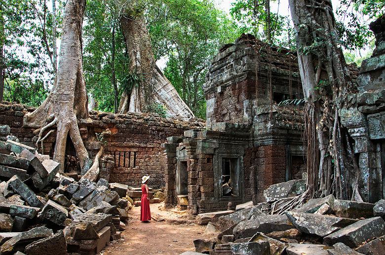 Temple Ta Prohm, Angkor, près de Siem Reap - Cambodge
