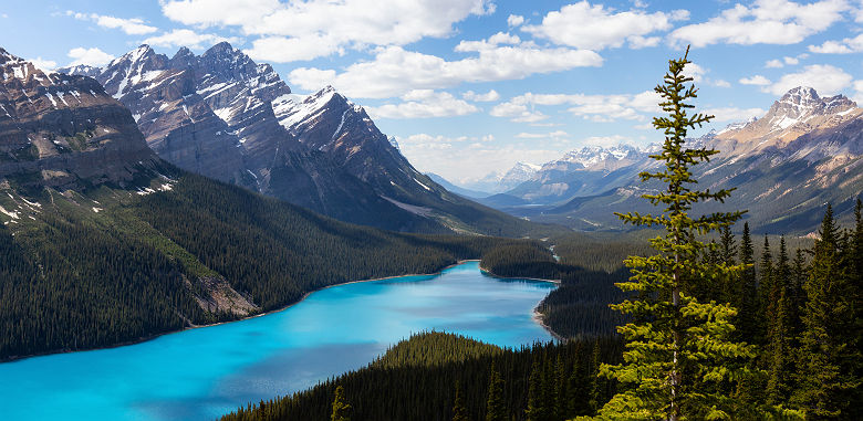 Lac Peyto, Parc National de Banff - Alberta, Canada