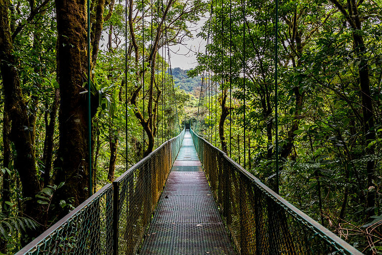 Pont suspendu au parc national du Volcan Arenal