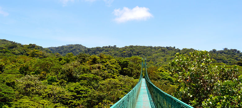 Pont suspendu au dessus de la canopée de Monteverde - Costa Rica