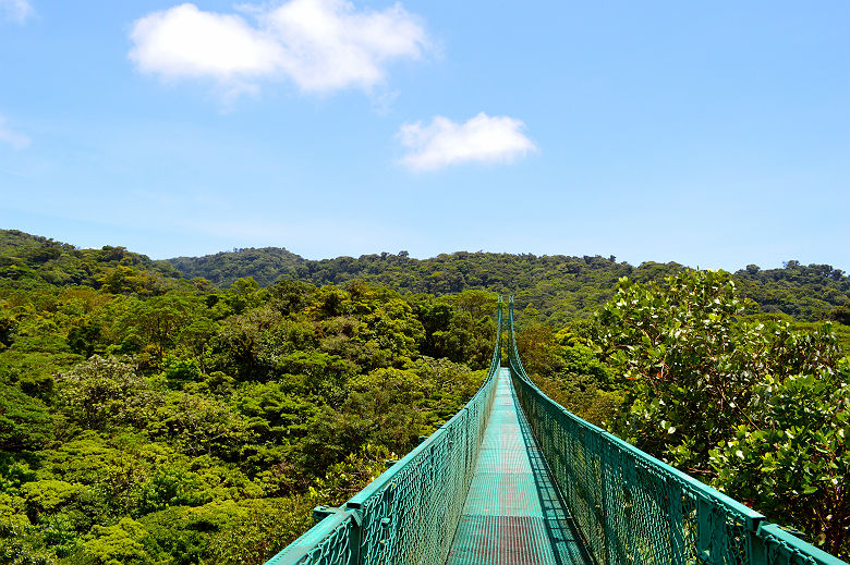 Pont suspendu au dessus de la canopée de Monteverde - Costa Rica