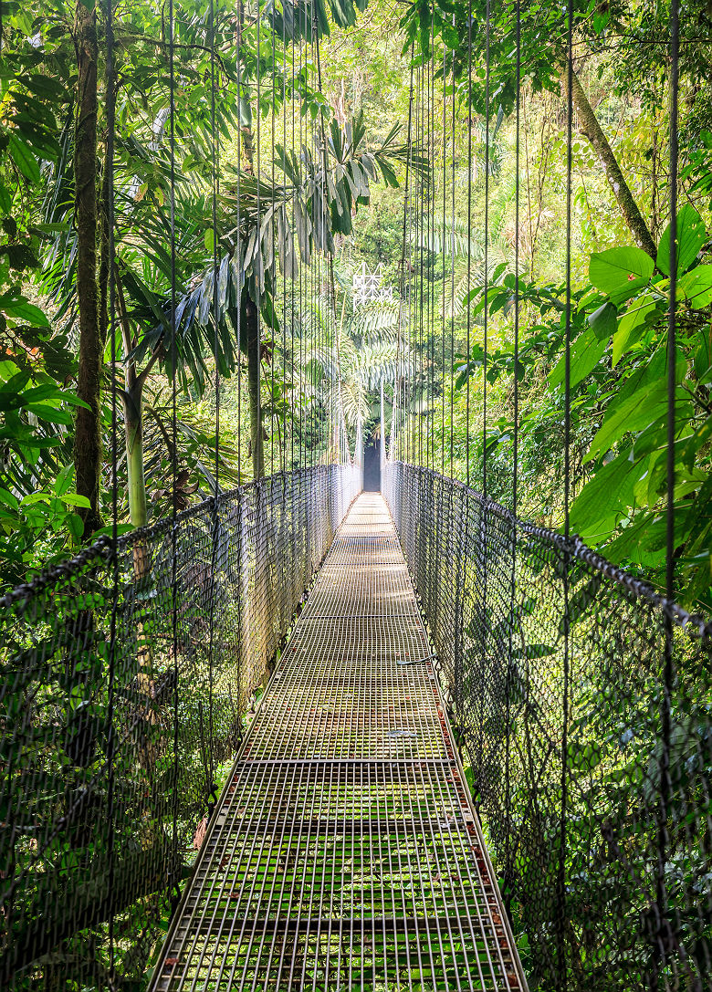 Pont suspendu du parc Arenal - Costa Rica