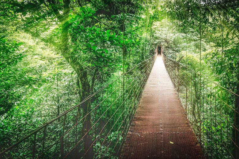 Costa Rica - Pont suspendu au parc national du Volcan Arenal