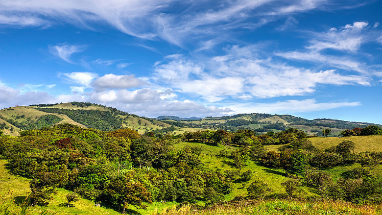 Costa Rica - Vue sur les collines et les plantations de café à Monteverde