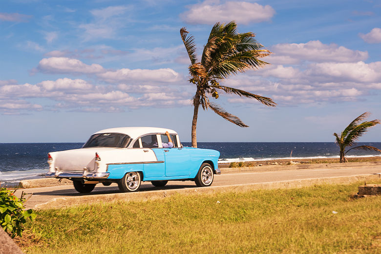 Vieille voiture et palmier sur la cote cubaine - Cuba