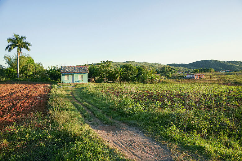 Ferme dans le paysage de la vallée de Vinales - Cuba
