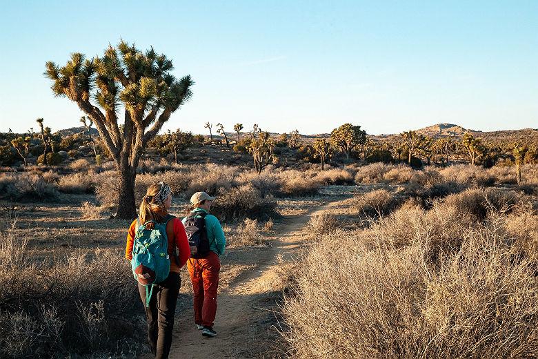 Randonnee dans le parc national de Joshua Tree, en Californie