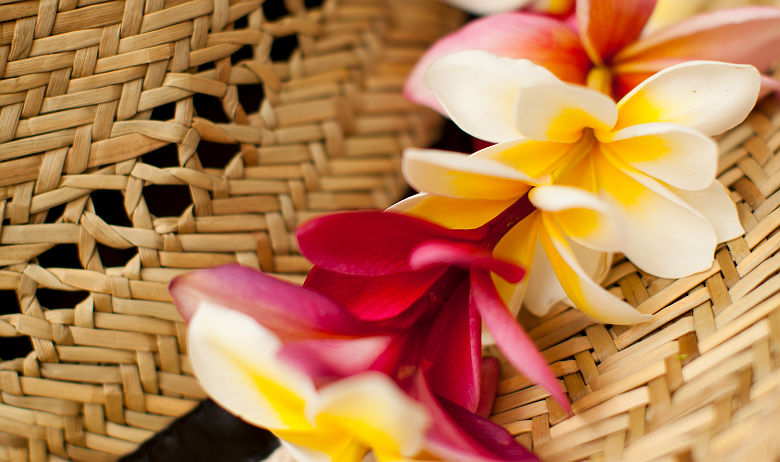 HTA) / Dana Edmunds - fleur hawaii sur chapeau de paille