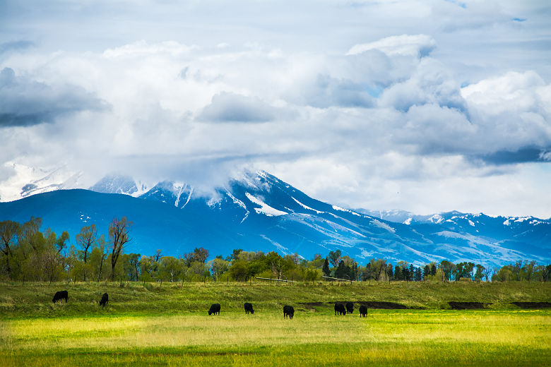 Paysage près de Bozeman dans le Montana - Etats Unis