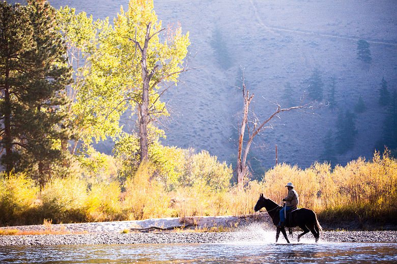 Etats-Unis - Portrait d'un chevalier sur son cheval sur les rives de la rivière