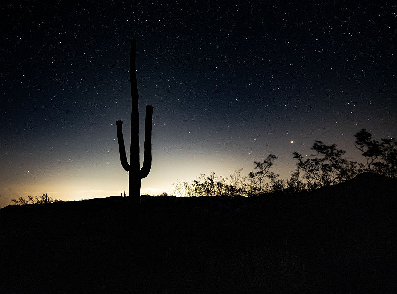Cactus en pleine nuit, Phoenix