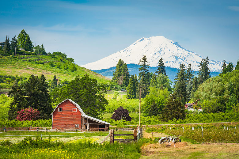 Grange rouge devant le mont Hood - Oregon, Etats-Unis