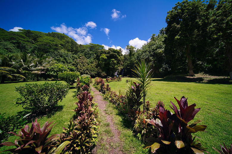 Tahiti - Chemin 2 cascades Vaihi - Tahiti Tourisme