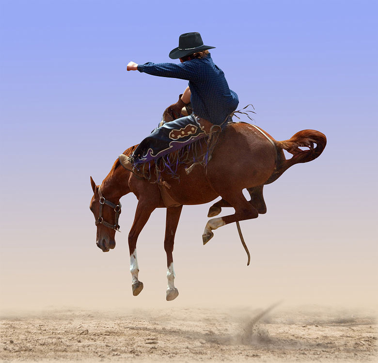 Cowboy sur un cheval au Texas, Etats Unis