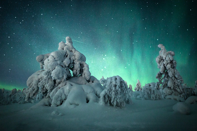 Snow covered trees northern lights VisitLevi